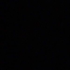 Meet your Posher, Bella